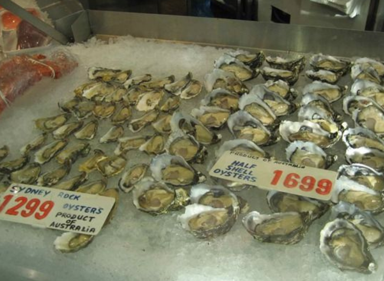 Hàu Sydney Rock Oyster tươi ngon tại chợ cá Sydney Úc